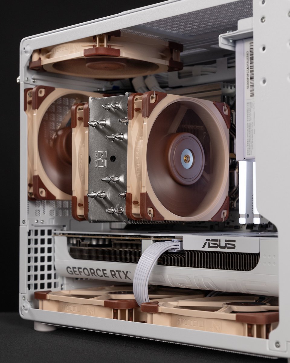 Mr Matt Lee 📸 tweet media