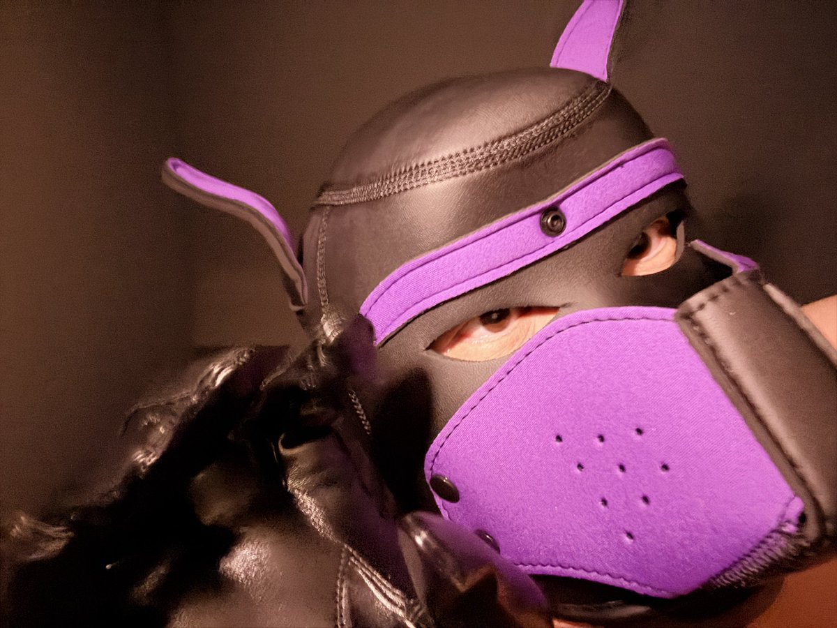 性瘾胖胖 tweet media