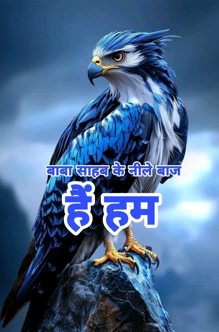 बाबा साहब के नीले बाज हैं हम ✊