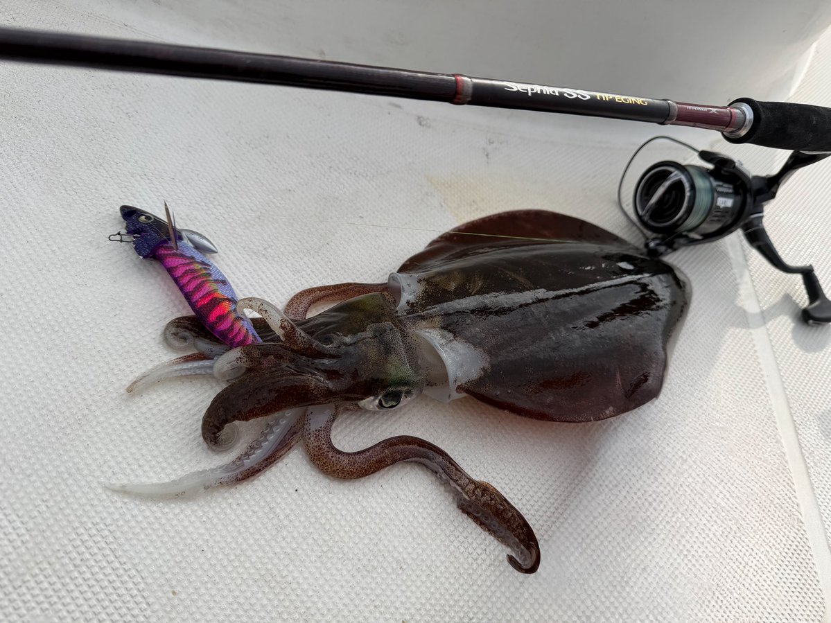 龍岩 朋樹 (@Tatsu_uuuO) / Posts / X