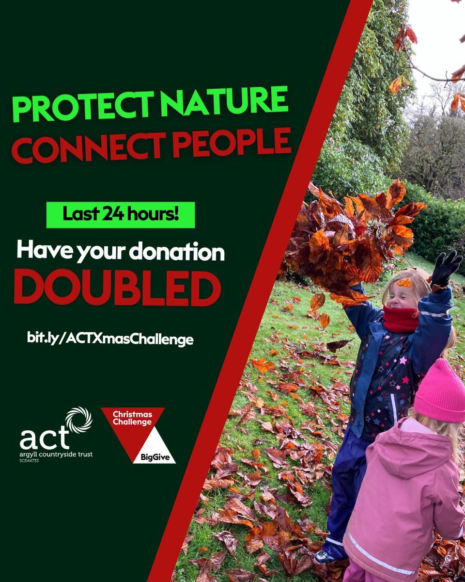 🌟Almost there
We’re in the last stretch of our <a href="/BigGive/">Big Give</a> #ChristmasChallenge
Every donation before midday tomorrow is doubled 💚
Help protect Argyll’s rainforest and support more people to get outdoors, learn and build confidence.
👉 buff.ly/6MLczSU
#ScotlandsRainforest