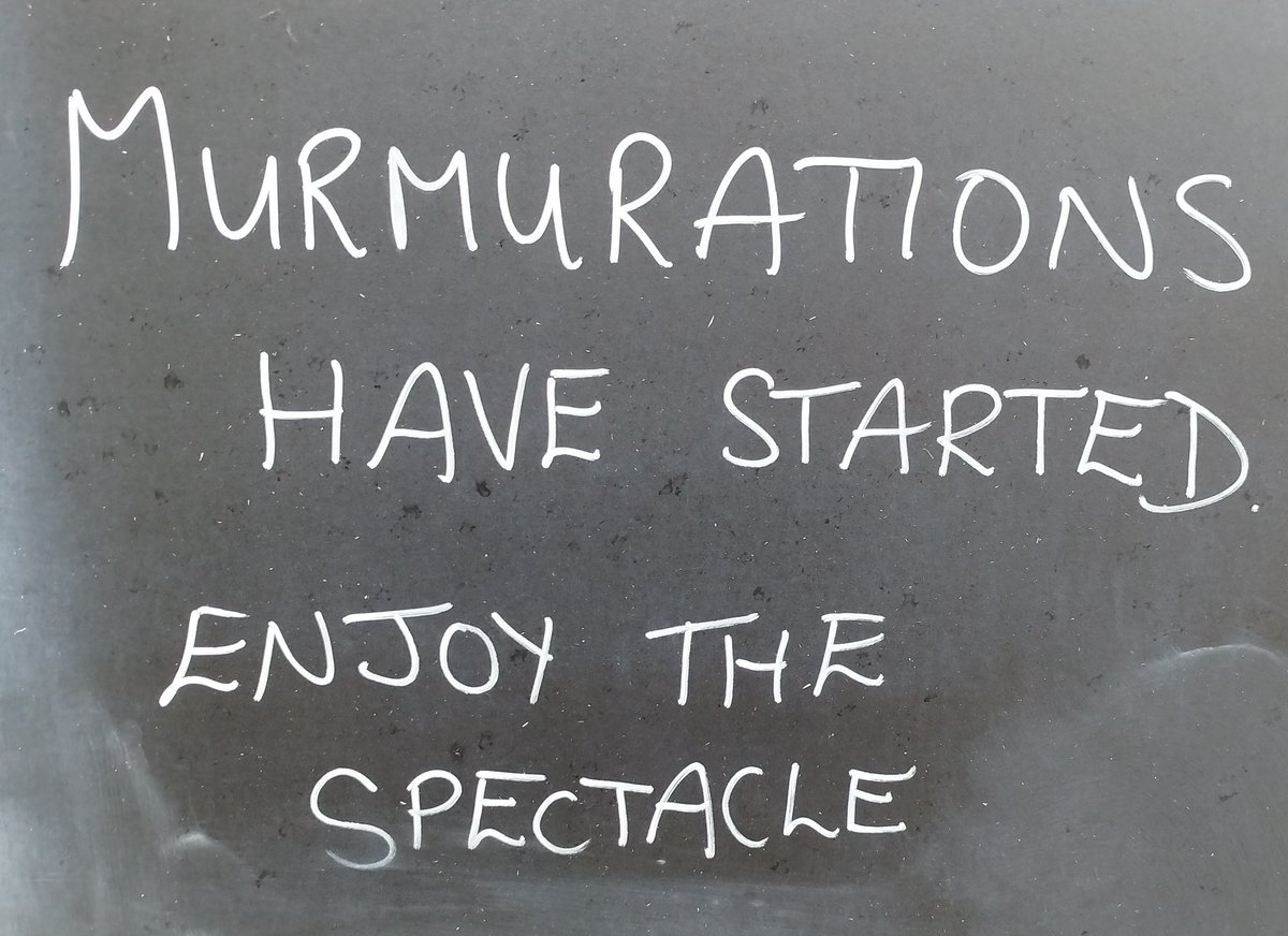 The Eyes and the Mistoids tweet media