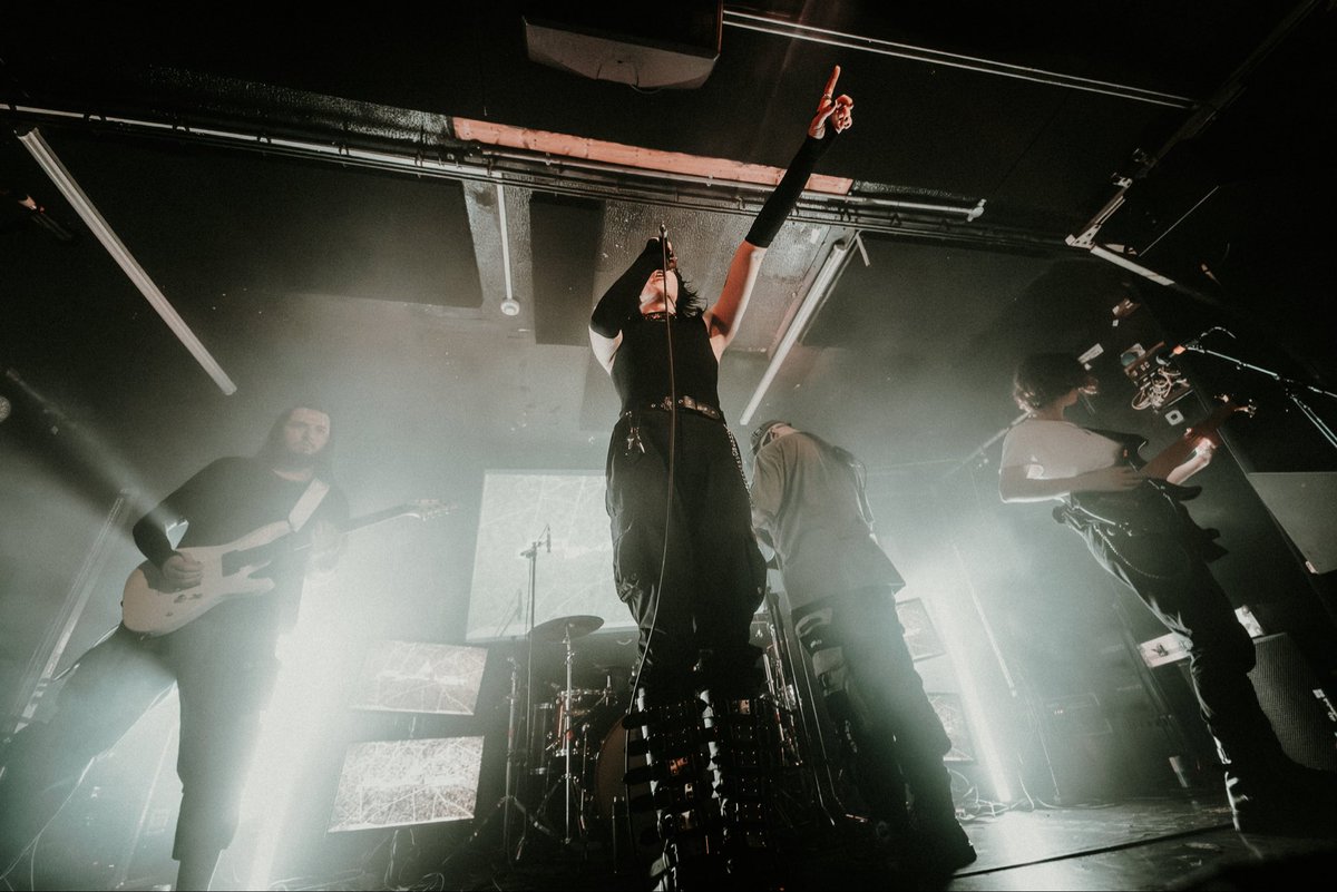 NIGHTLIVES tweet media