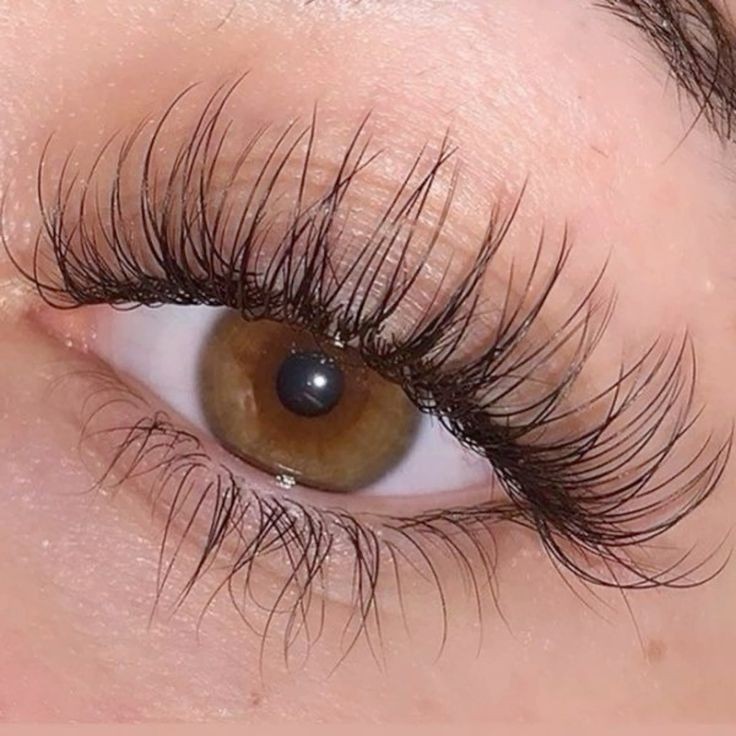 ceelune_'s tweet photo. manifesting a fit body, long lashes, clear skin, healthy mind all in 2026 https://t.co/ScyPeCWXVI