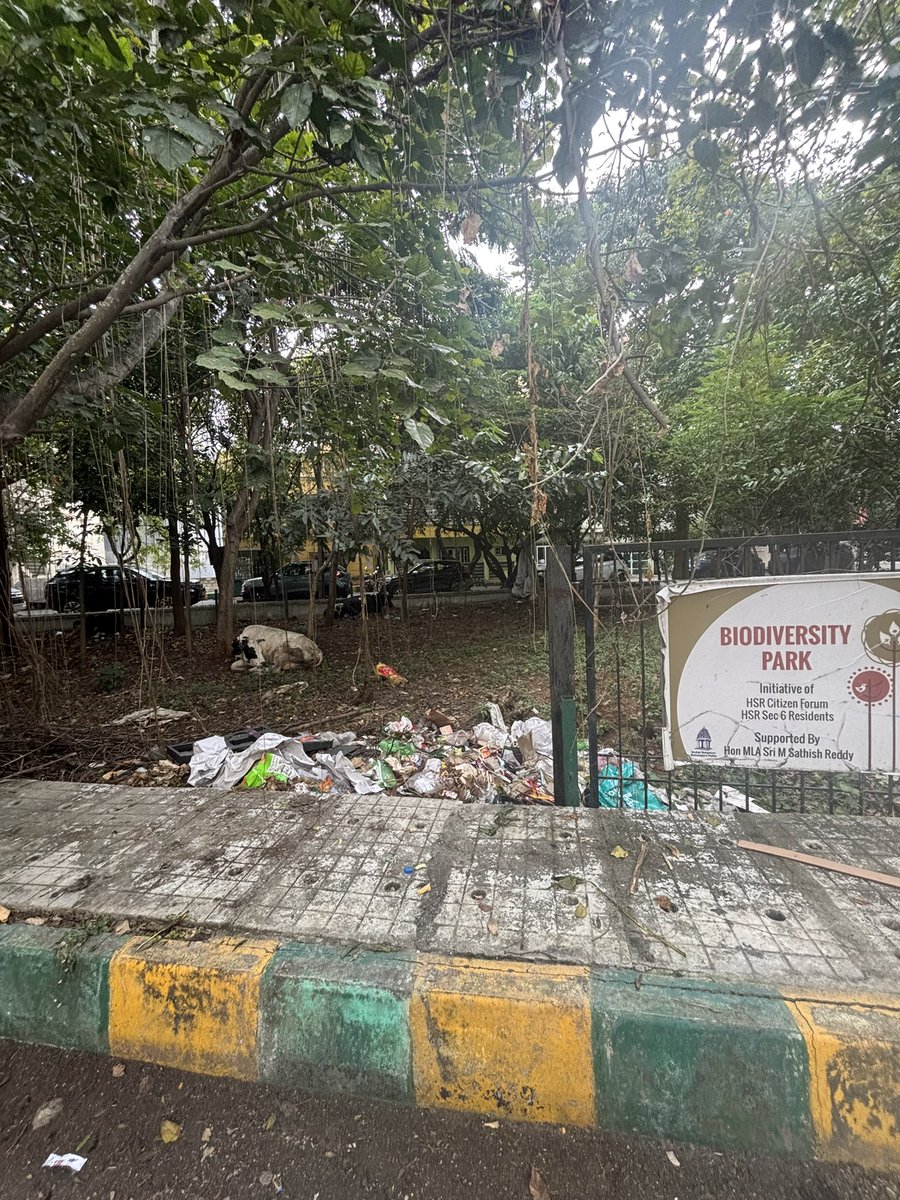 yeshwantmiranda's tweet photo. Biodiversity Park outside my home is overflowing with dry waste; no one cleans-up — the dry-waste collector says it’s not his job, and the area sweeper says the same. @swaccha_bbmp @BBMP_Cares @BBMPMahadevpura  https://t.co/XZ9G1e9HCX… https://t.co/XJNdXi1TVr