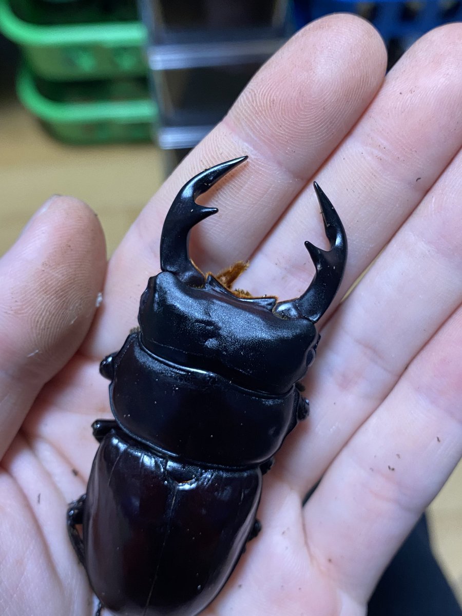 ささき (@sasaki_628212) / Posts / X