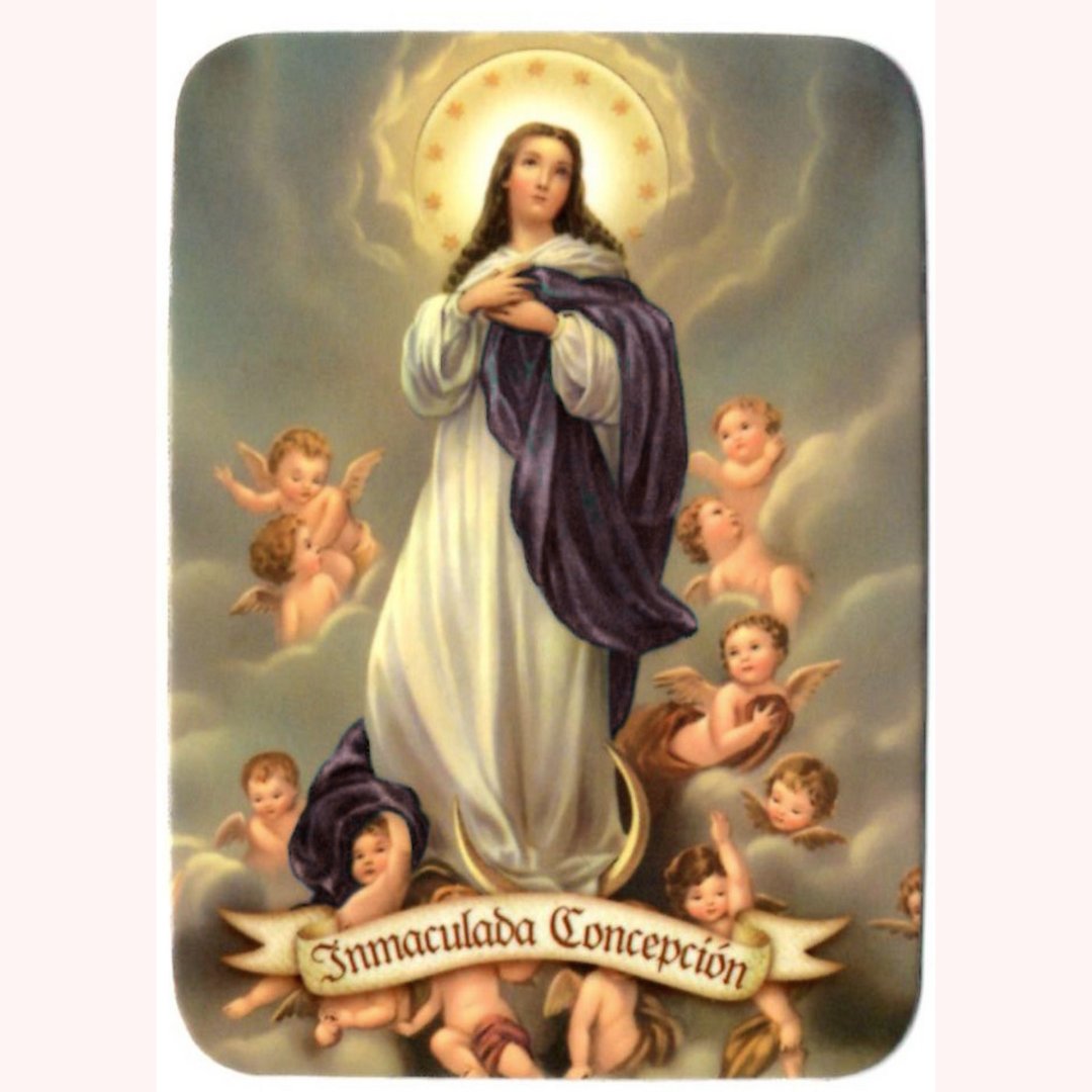 #8Dic Recordamos y conmemoramos la grandeza y la pureza de la Virgen. Le pedimos, que proteja a Venezuela y a todos sus hijos y que nos guie siempre por los caminos del Señor ¡Feliz Día de la Inmaculada Concepción!