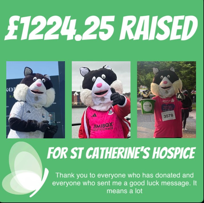 The Brig Cat tweet media