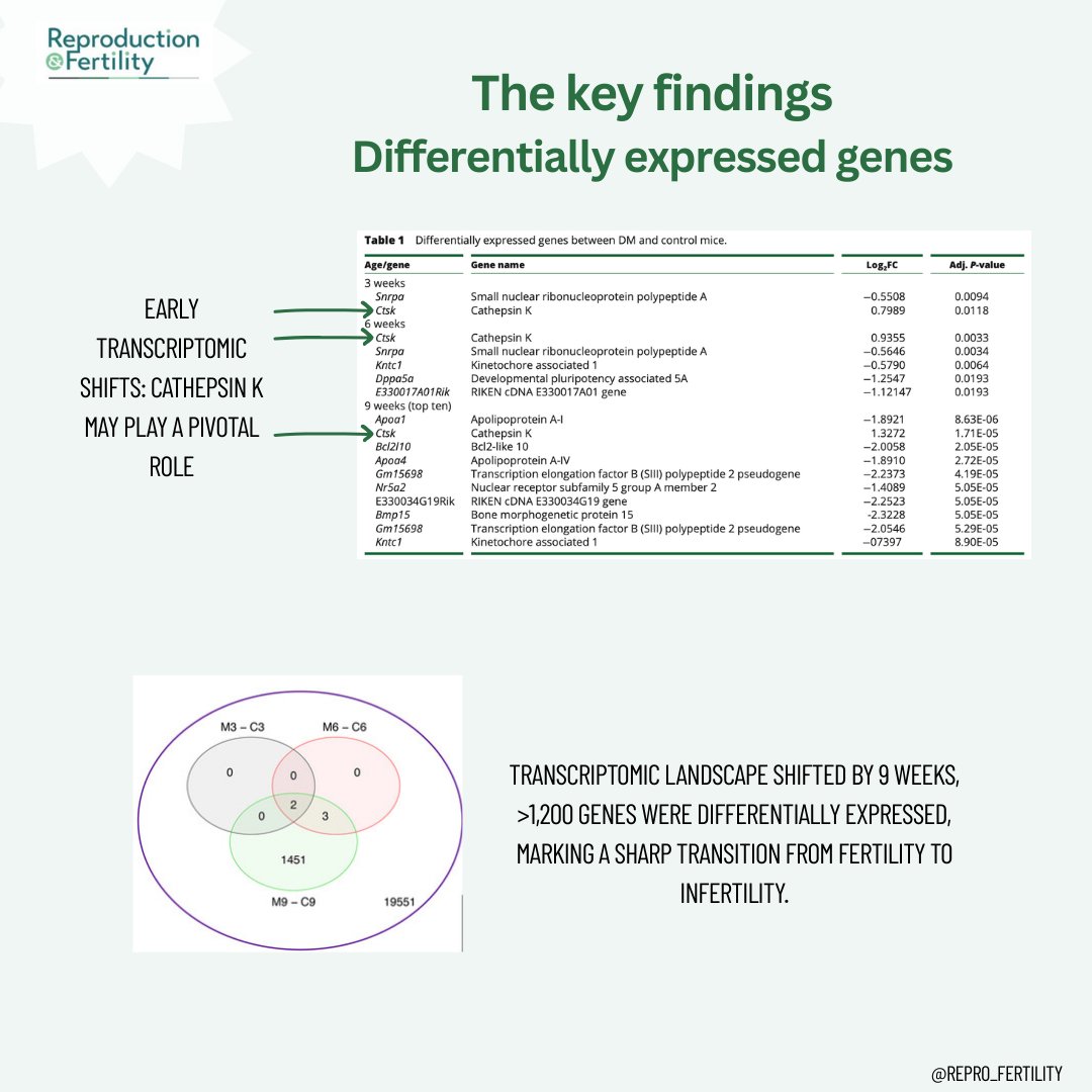 Reproduction and Fertility tweet media