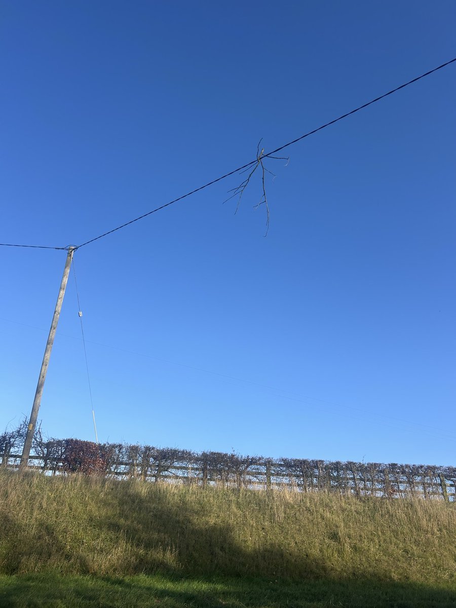 Colm Finlay tweet media