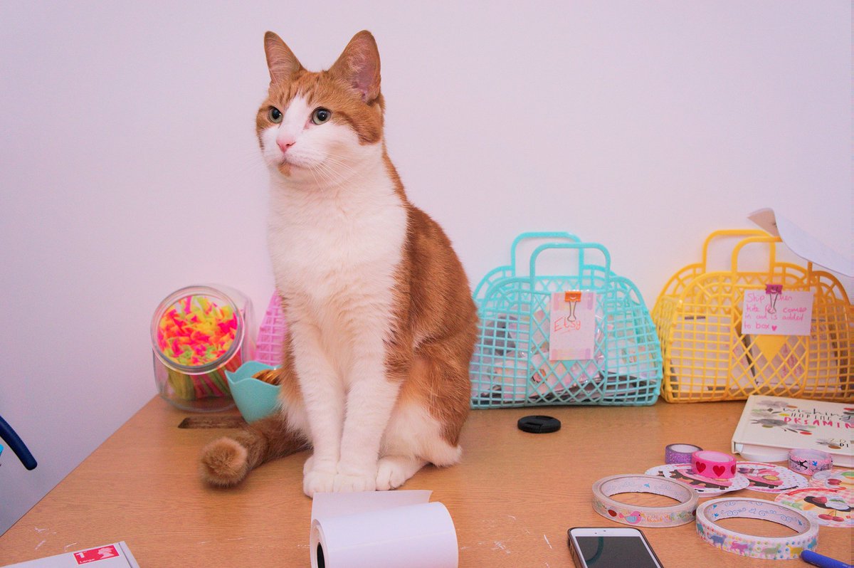 Miya Mewrilee 🎸💿 Millennial Dudetuber tweet media