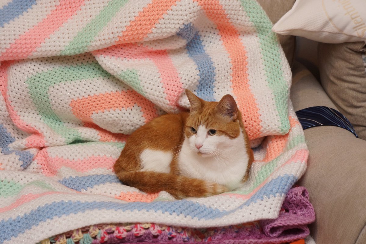 Miya Mewrilee 🎸💿 Millennial Dudetuber tweet media