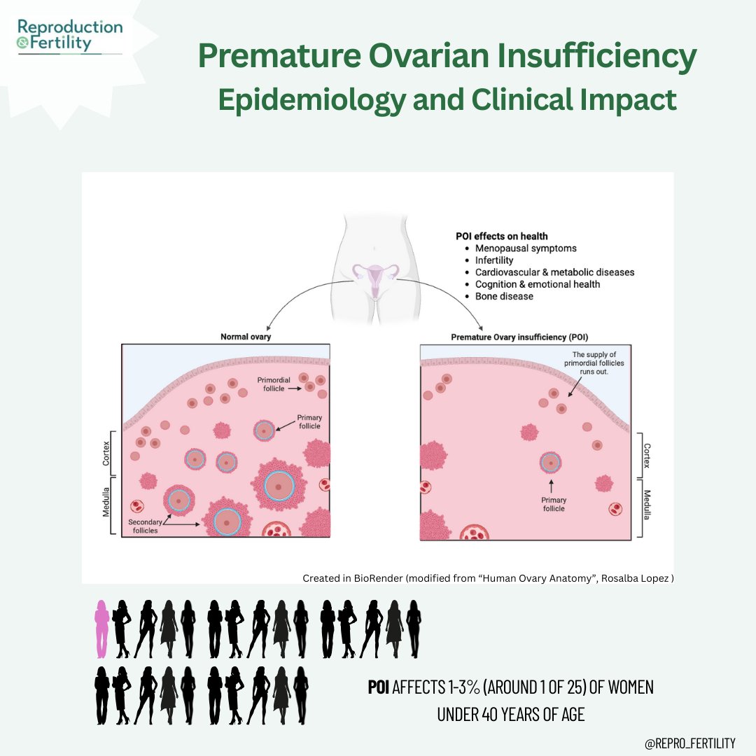 Reproduction and Fertility tweet media