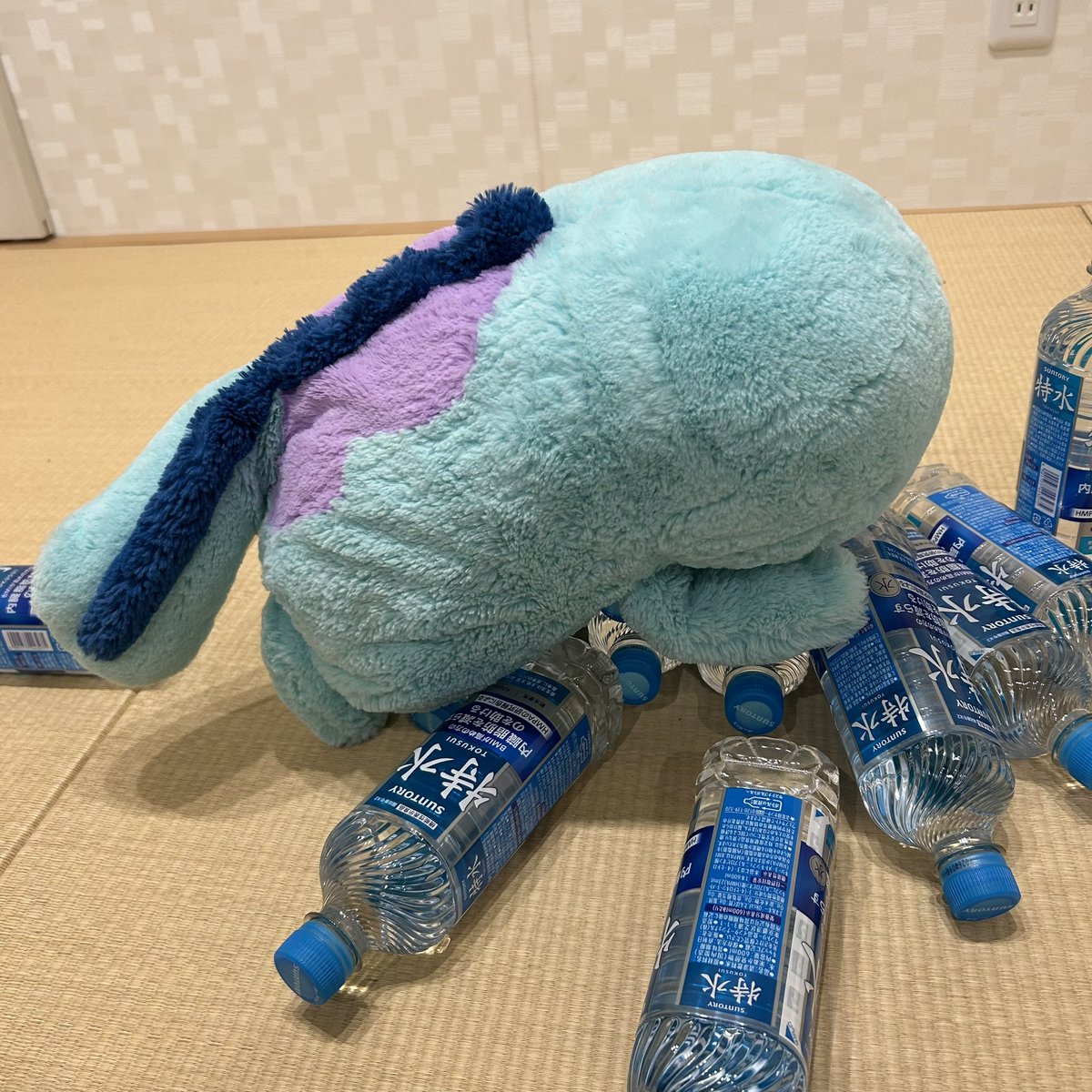 7cononame's tweet photo. 特水ダイエットが順調すぎてこれくらいの段差は余裕で飛び越えられるヌオーさん https://t.co/afVX9VL0EB