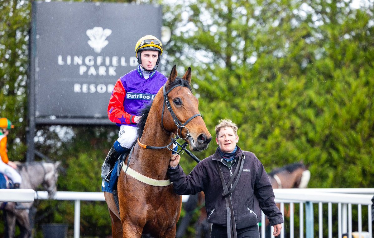 LingfieldPark's tweet image. The Best Odds Guaranteed At @BetMGM Handicap (Class 5)

🥇Towerlands

🥈Sheikh Raj

🥉Ernie’s Valentine

Winning Jockey: @Rossaryan15 
Winning Trainer: @AWCarrollracing
Winning Owner: Northway Lodge Racing &amp;amp; Partner