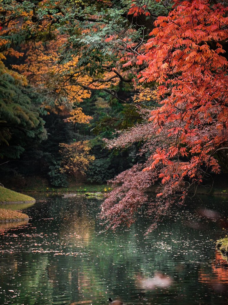 ねこまた。 (@2IivuUY2Tf73393) / Posts / X