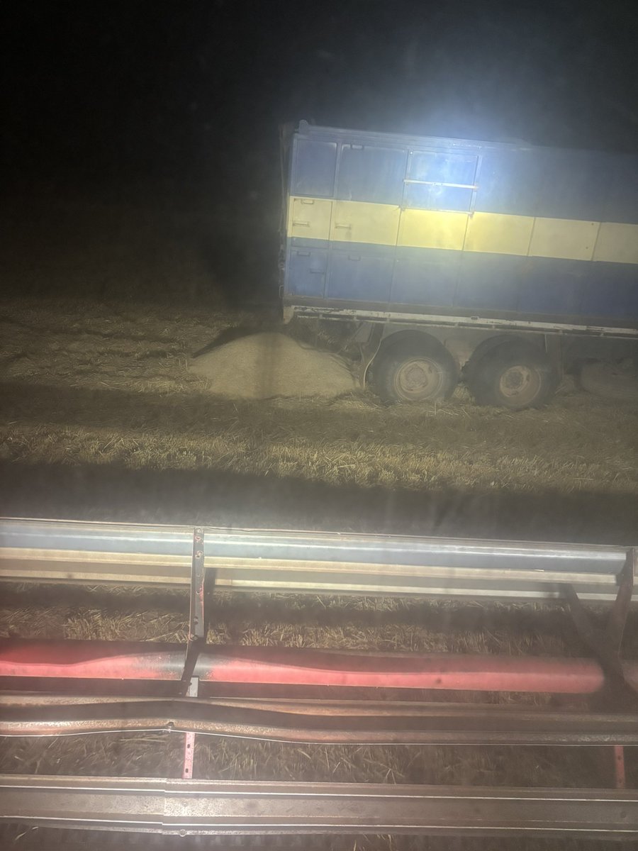 Lawrence Balcomb tweet media