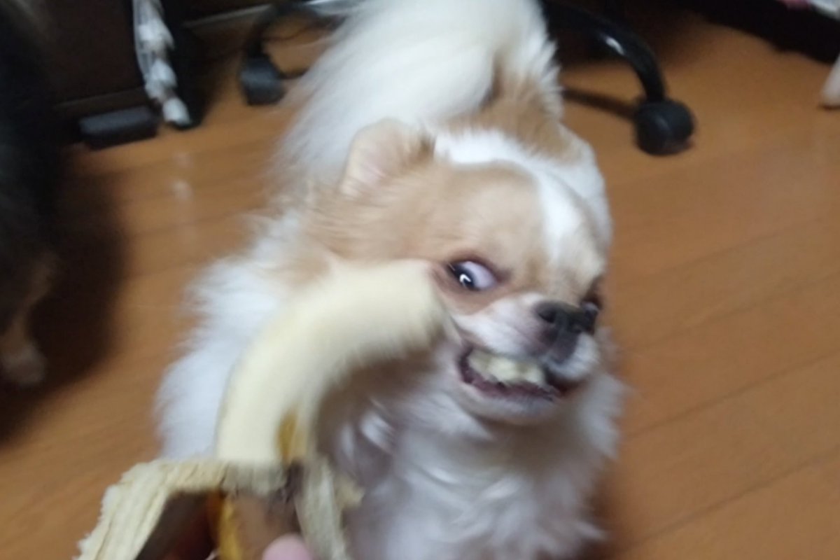 ばなーな🍌