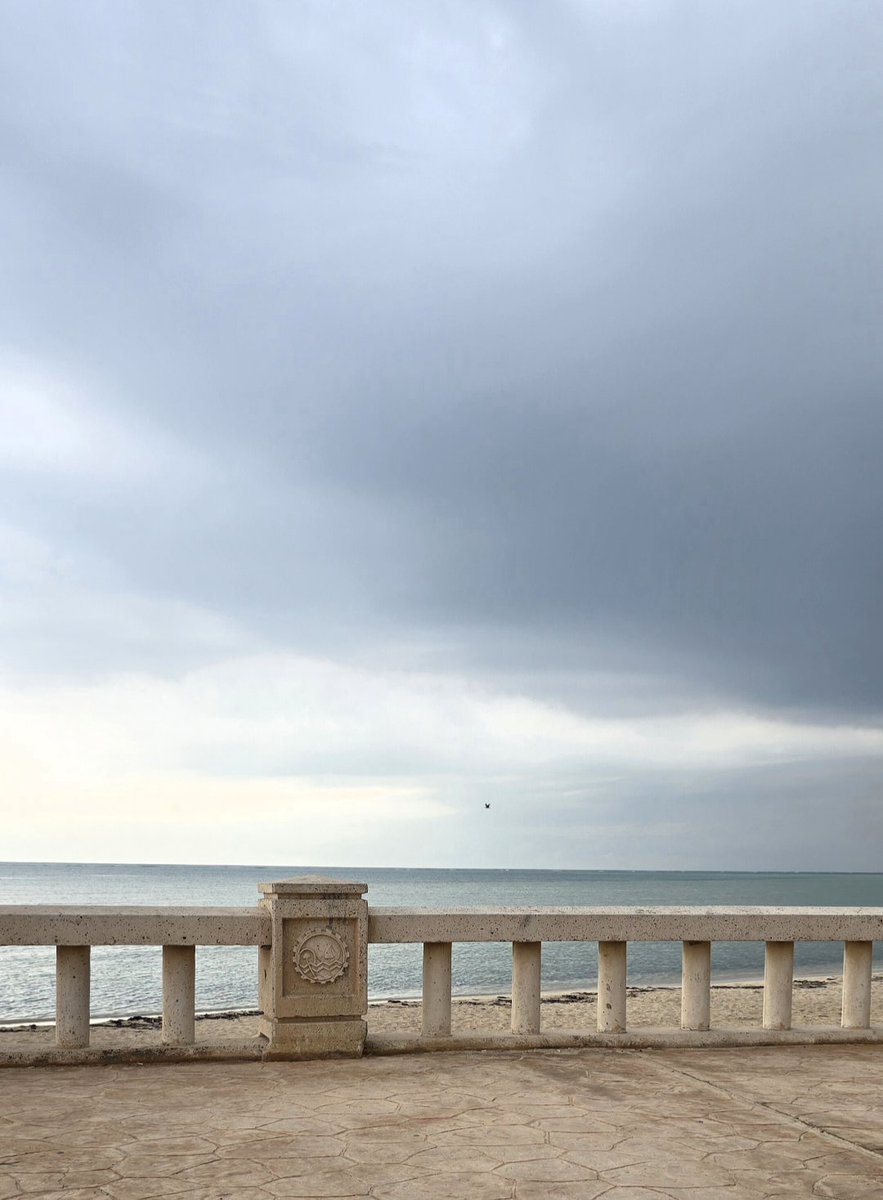 خلود الحربي🔭. tweet media