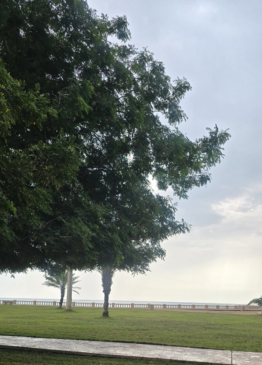 خلود الحربي🔭. tweet media