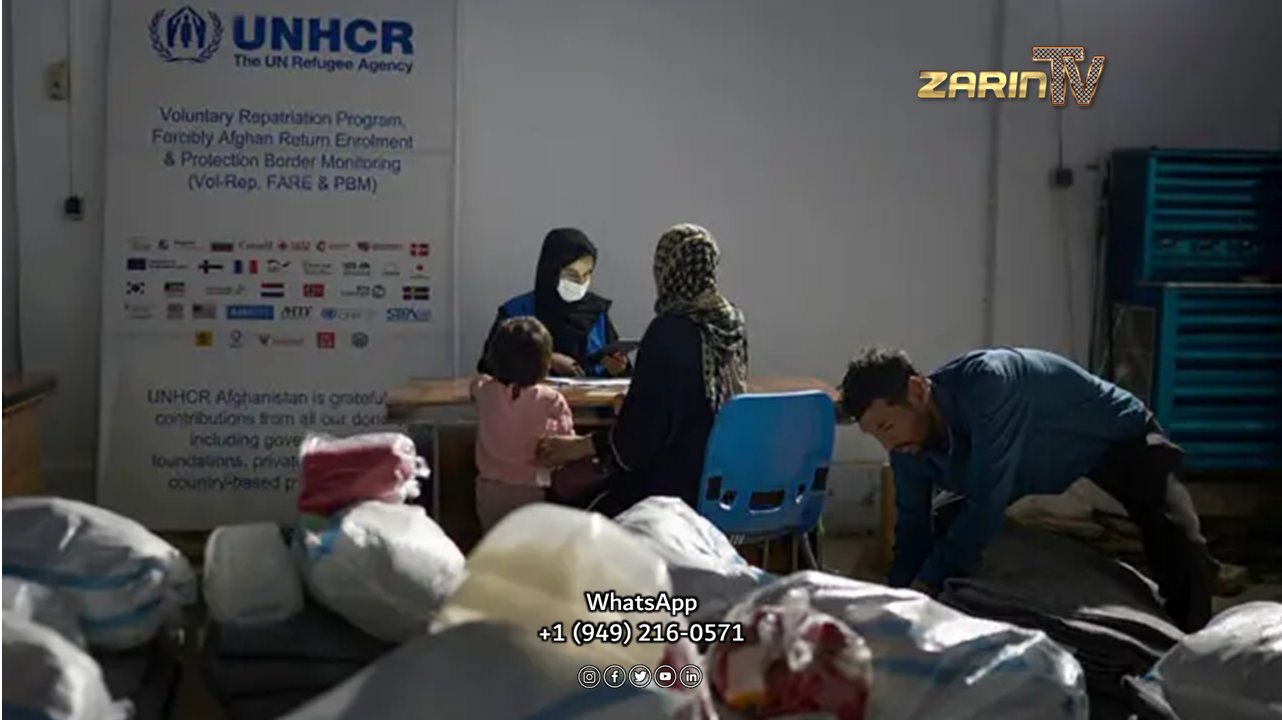 سازمان ملل: ادامه ممنوعیت کار زنان توسط طالبان جان هزاران نفر را تهدید می کند