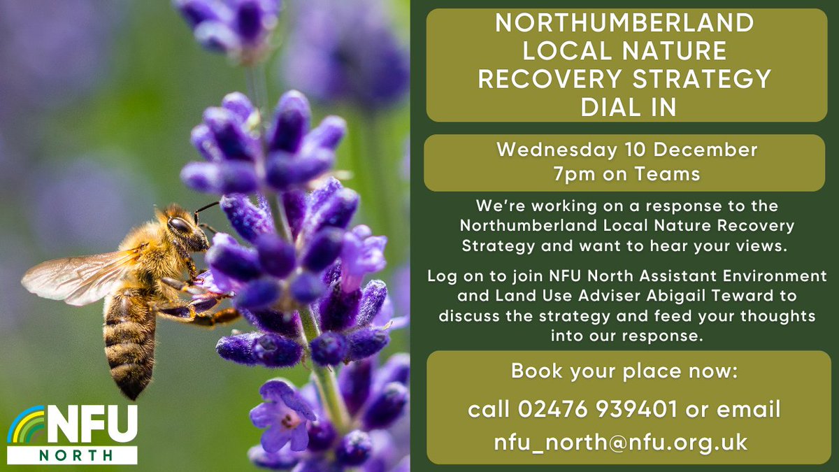 Calling all Northumberland members 📣
We want to hear your views on the Northumberland Local Nature Recovery Strategy!
Join us for our LNRS dial in this Wednesday, 7pm on Teams. Details below ⬇️
Book your place now 👉 📞 02476 939401 or 📧 nfu_north@nfu.org.uk