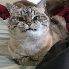 Haftanın ilk iş günü. Ne zor geçer şimdi.