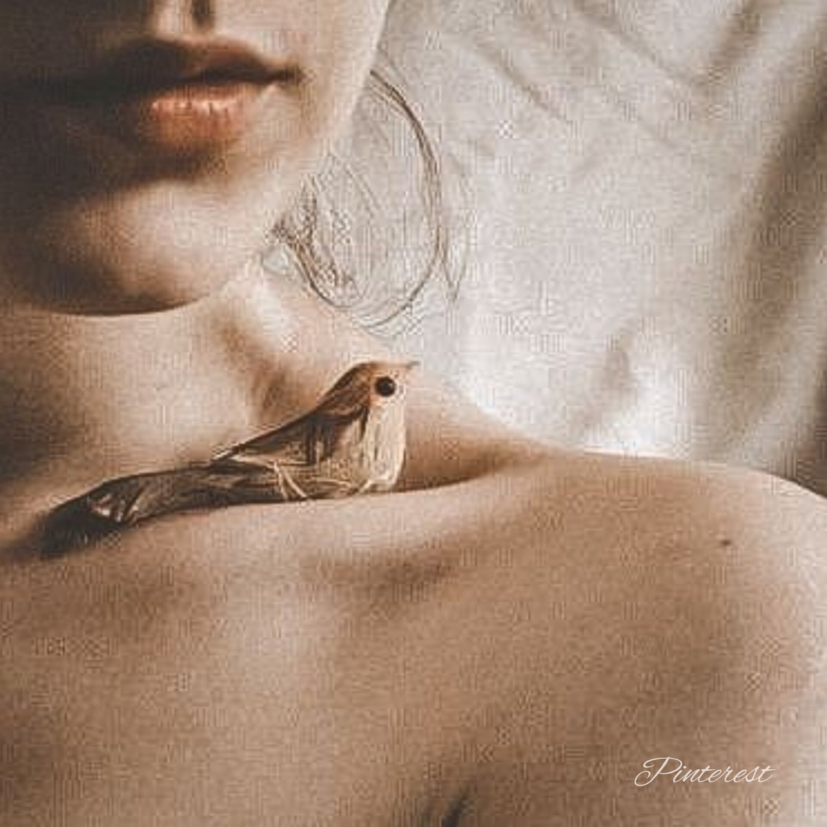 Anida en mí la canción
de un ave de libre vuelo,
un trino en el silencio
refugiándose en mis sueños

Tiene las alas ligeras
y es amiga de las nubes,
tiene un deseo sincero
de ser libertad que anhelo

y late sobre mi pecho,
mi canción,
buscando el cielo.
⊱✿⊰

JS
#AlmadelaHabana