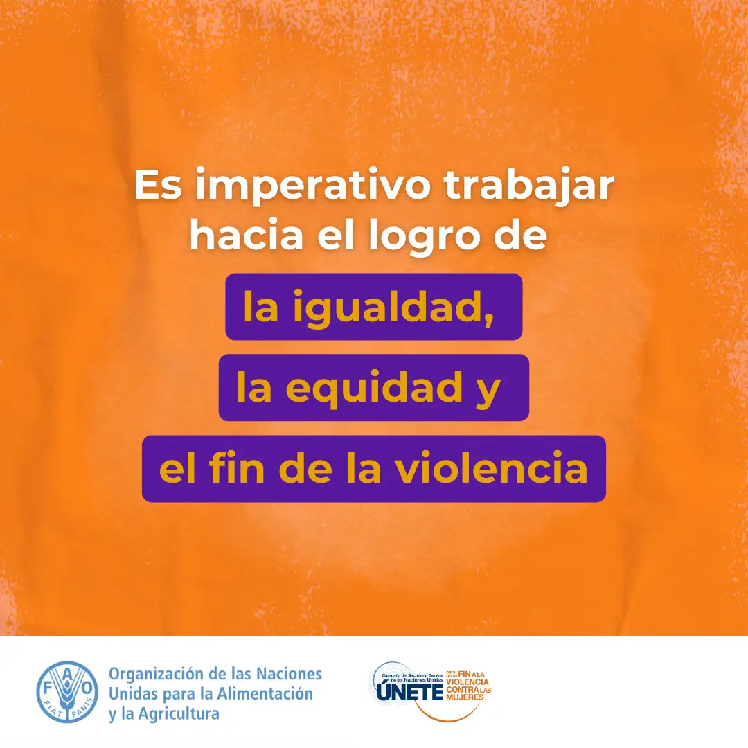 ✋Se necesitan legislaciones que garanticen el derecho de las #MujeresRurales a la participación, a la propiedad y el control de las tierras junto con la protección contra la violencia de género en el medio rural.✊

#Únete #16días #MujeresConDerechos