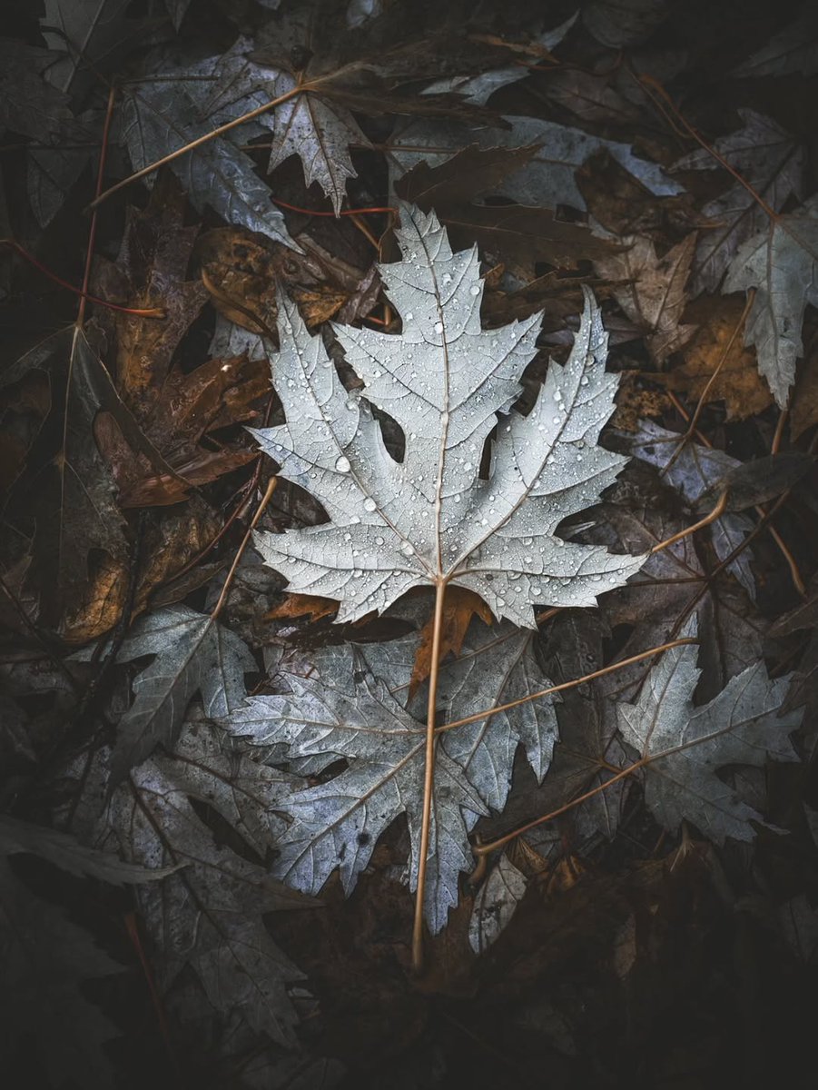 mami♡ 𝙼𝚊𝚖𝚒🌹 (@mami_mami813) / Posts / X