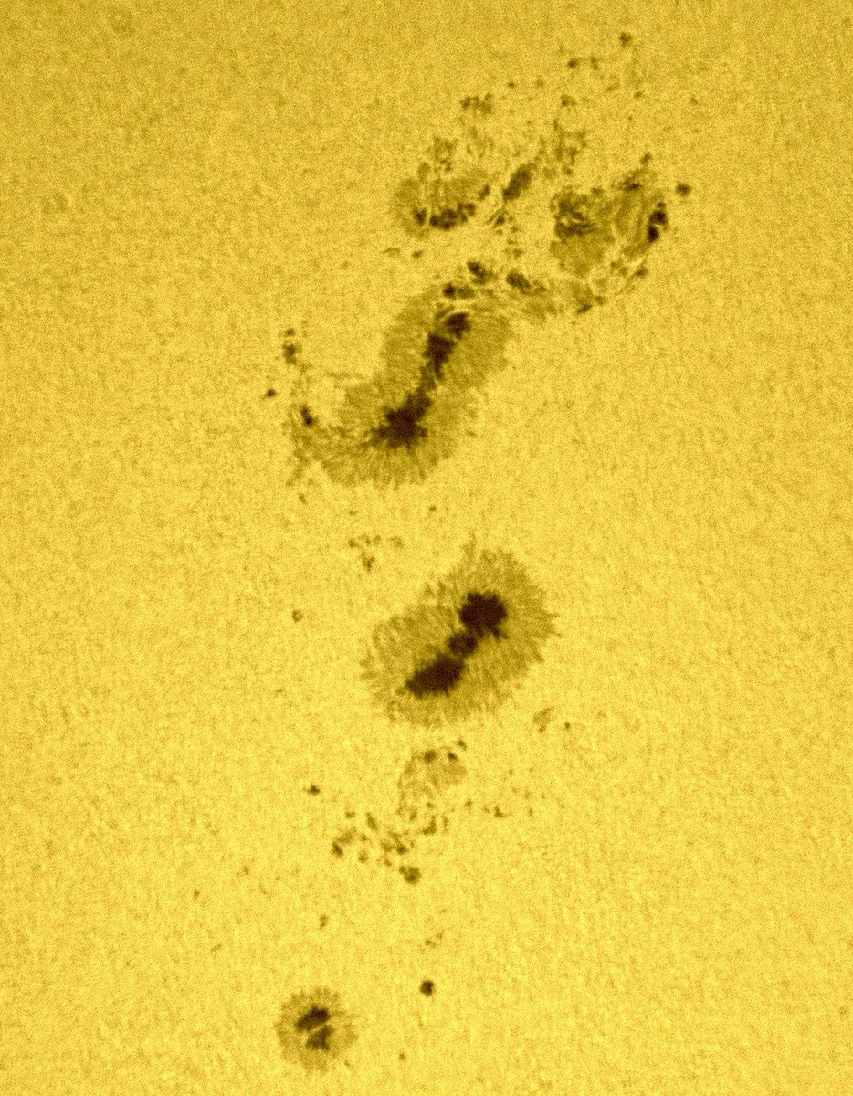 Últimos días antes de que se pierdan estas manchas solares. <a href="/CTagoror/">CEIP Tagoror</a> #cielosESA