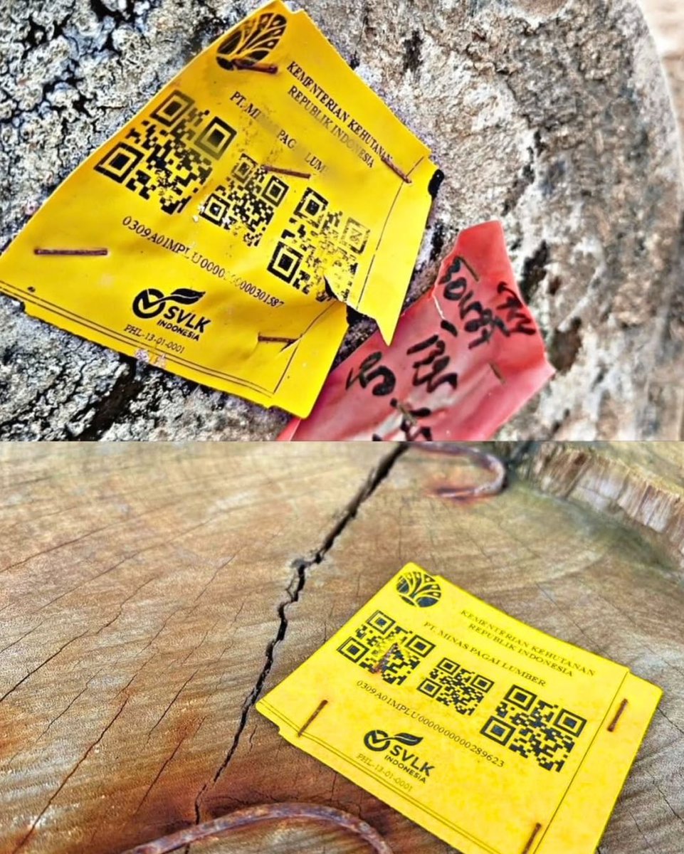 Jejak stiker kemenhut dan perusahaan di kayu gelondongan yang terdampar di pantai pesisir barat.