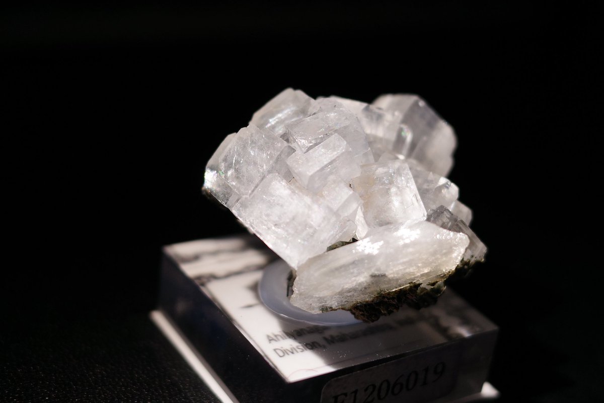 loopsofinfinity's tweet image. ほたみねさんのアポフィライト祭り参加
バランスよくまとまったよい標本です