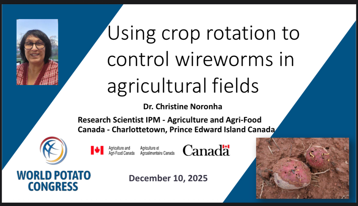 Please join the World Potato Congress Inc. this Wednesday as panelist Dr. Christine Noronha presents her research on effective methods to control wireworm.
potatocongress.org/upcoming-webin…

#wireworm
#IPManagement
#wpc2026kenya
#WorldPotatoCongress
#AAFC