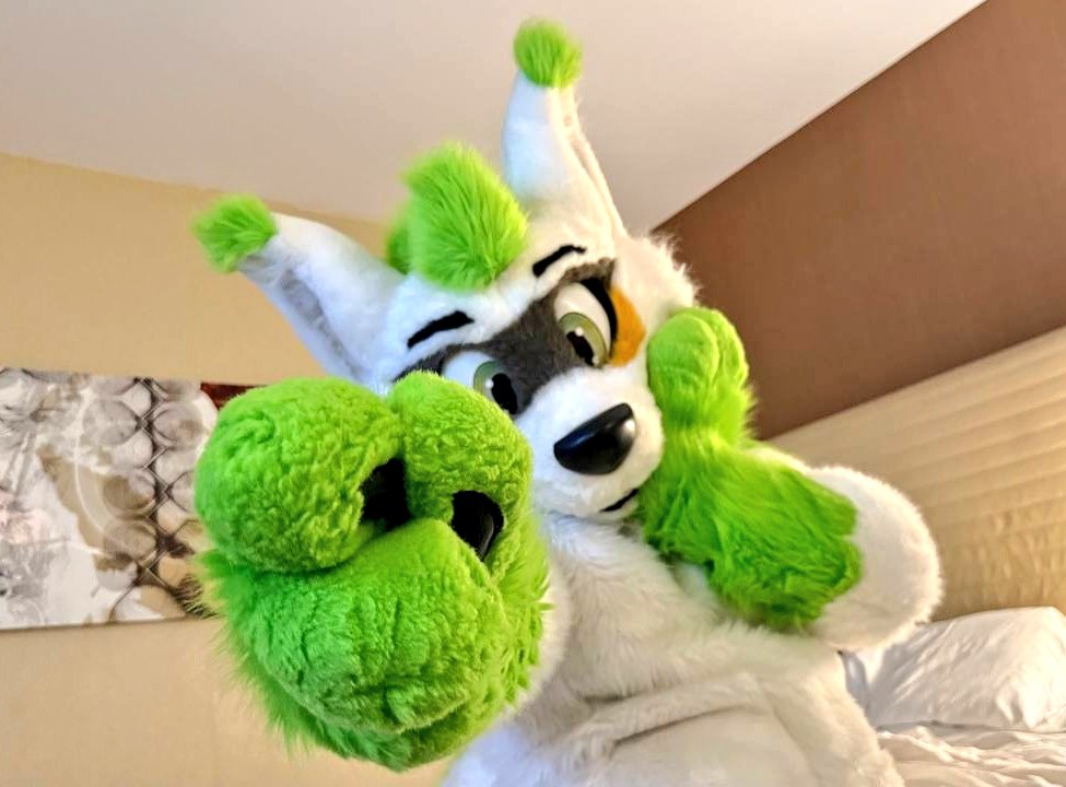 Goodbye yall! <a href="/FurFest/">Midwest FurFest</a> was fantastic this year! Met new faces and had a lot of fun! Hope to see you all back again in da future!

📸: <a href="/Dingorooz/">Dingoroo</a>
#furfest2025