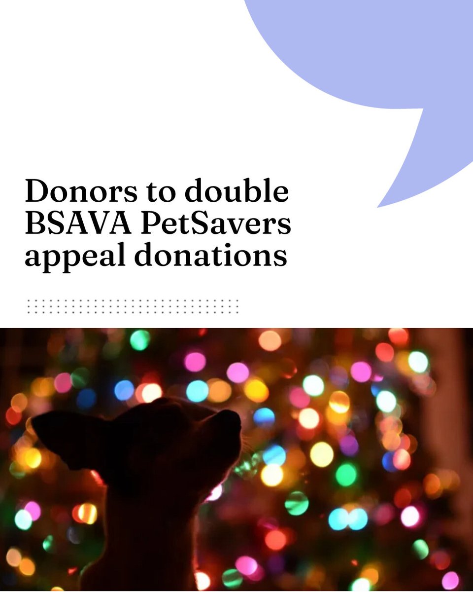 VN Times tweet media