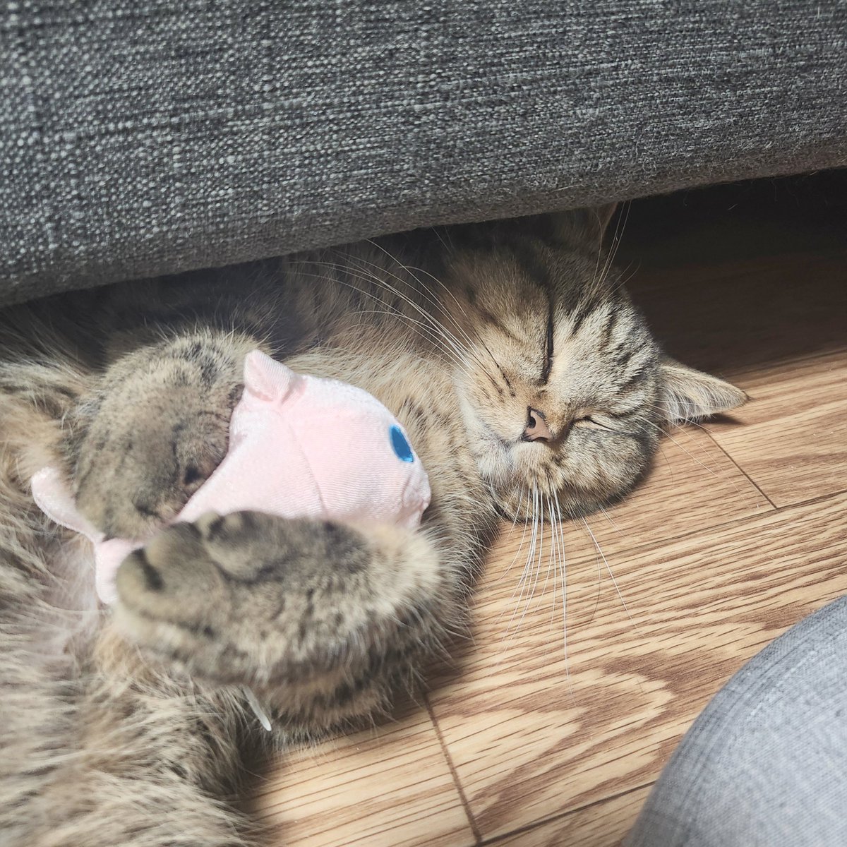 ナズナとスズナ🌱 (@fwfwnzn) / Posts / X