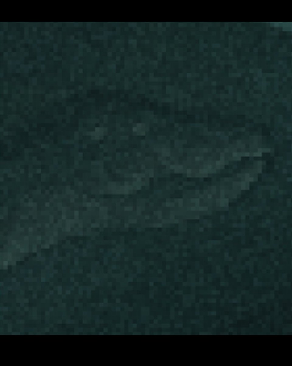 Fialon Mathis tweet media