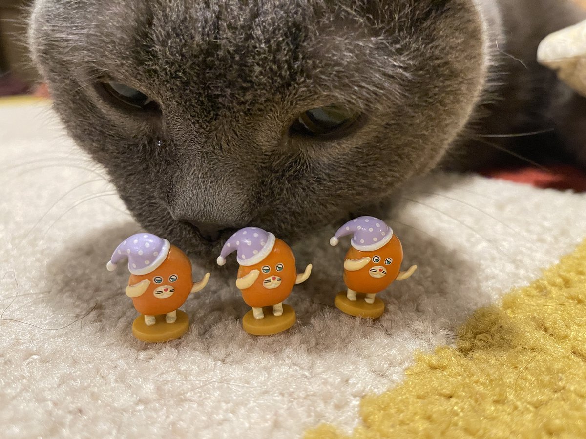 ぽんずさま確認ページ♡ よつばとポン酢 (@nyaaa_____nchu) / Posts / X