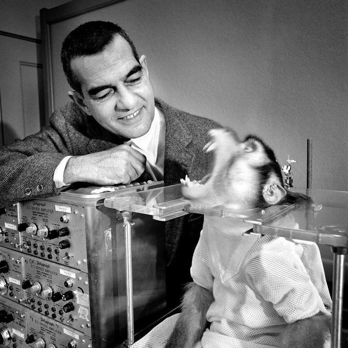 Ragebait or delusion. Hard to tell these days
Mans getting a medal in gymnastics though