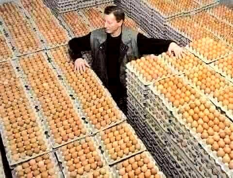 Λοιπόν αυτό το αντέγραψαν από μας σίγουρα.
Εμείς το κάνουμε αυτό 🤡

Αργεντινός πολίτης πήγε να αγοράσει ένα "κουτί αυγών" και όταν ρώτησε τον πωλητή την τιμή, διαπίστωσε ότι η τιμή ήταν πάνω από το συνηθισμένο, οπότε ρώτησε τον πωλητή γιατί !?
Απάντησε ότι οι διανομείς