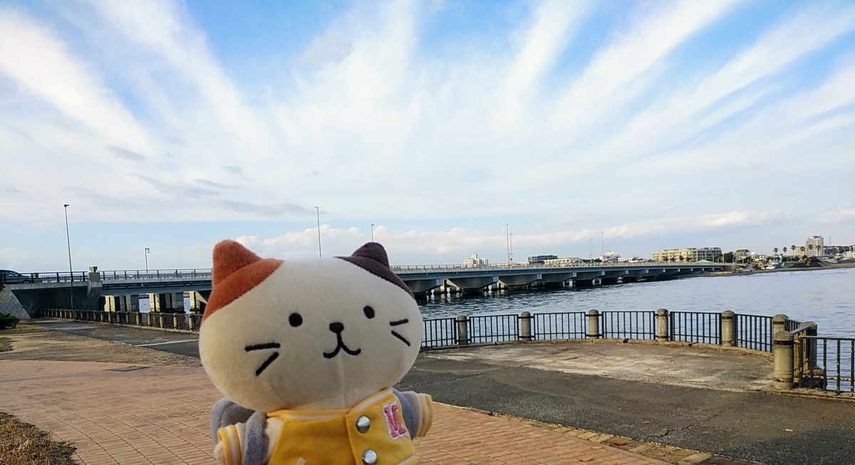 fukufuku_nyanko #ふくにゃんファンブック