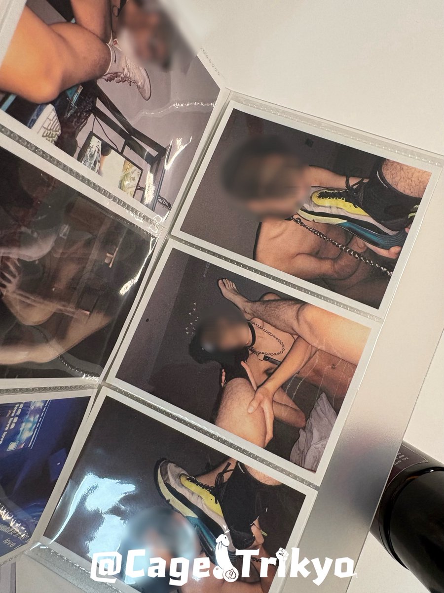 标准共犯 tweet media