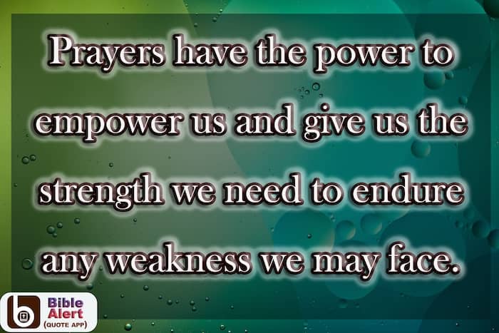 TrumpetMedia1's tweet photo. Build a solid foundation in your relationship with God and experience incredible blessings. Taste and see for yourself how excellent the Lord truly is! https://t.co/WUMUjBhPPH https://t.co/SnweldK7YM