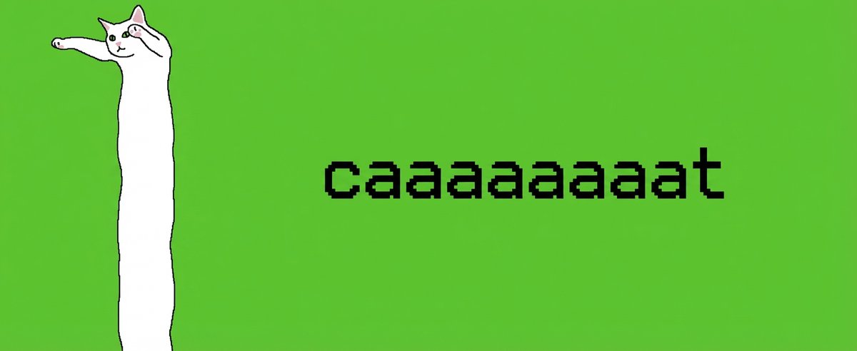 caaaaaaaat tweet media
