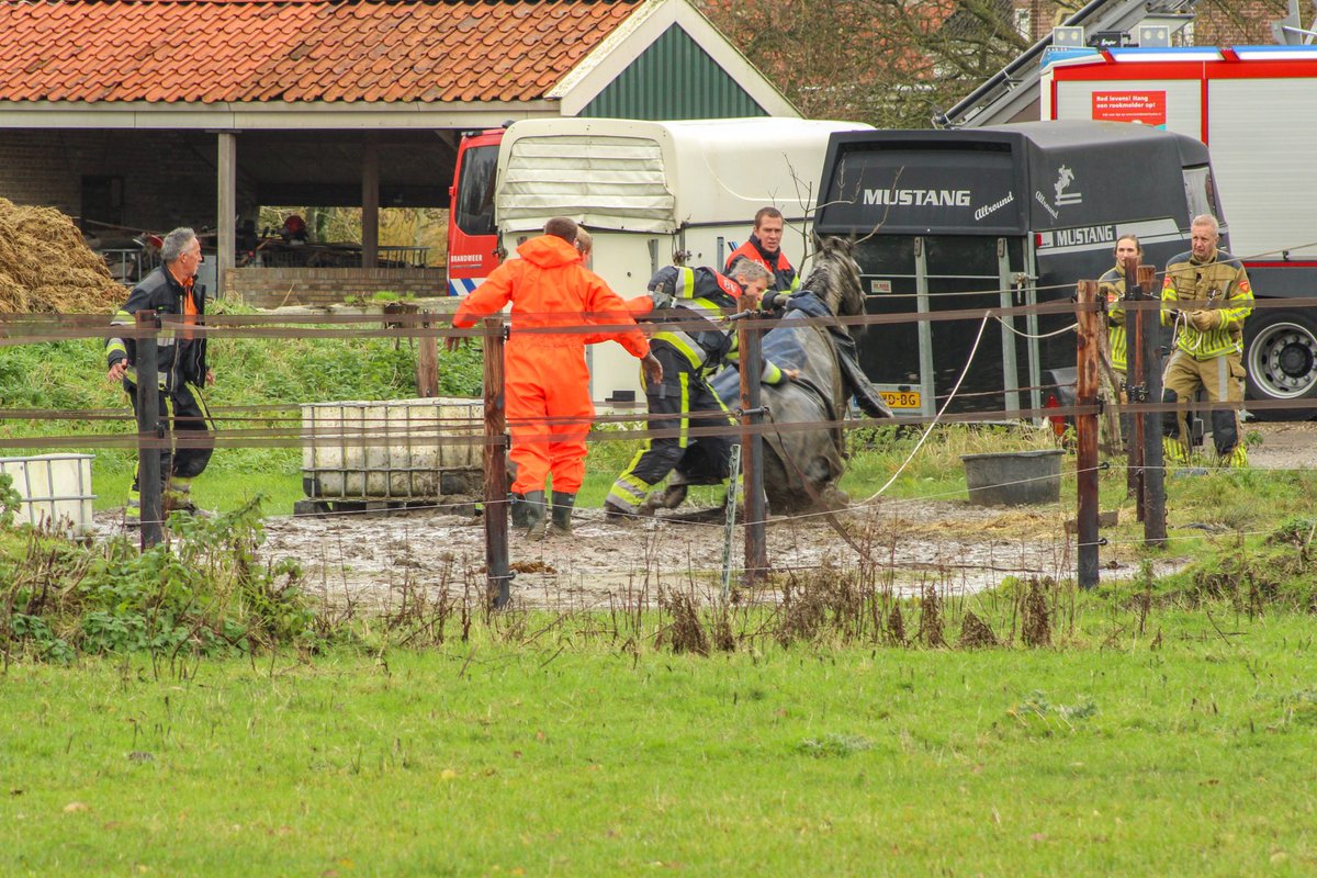 Brandweer helpt paard overeind in paddock Nijland