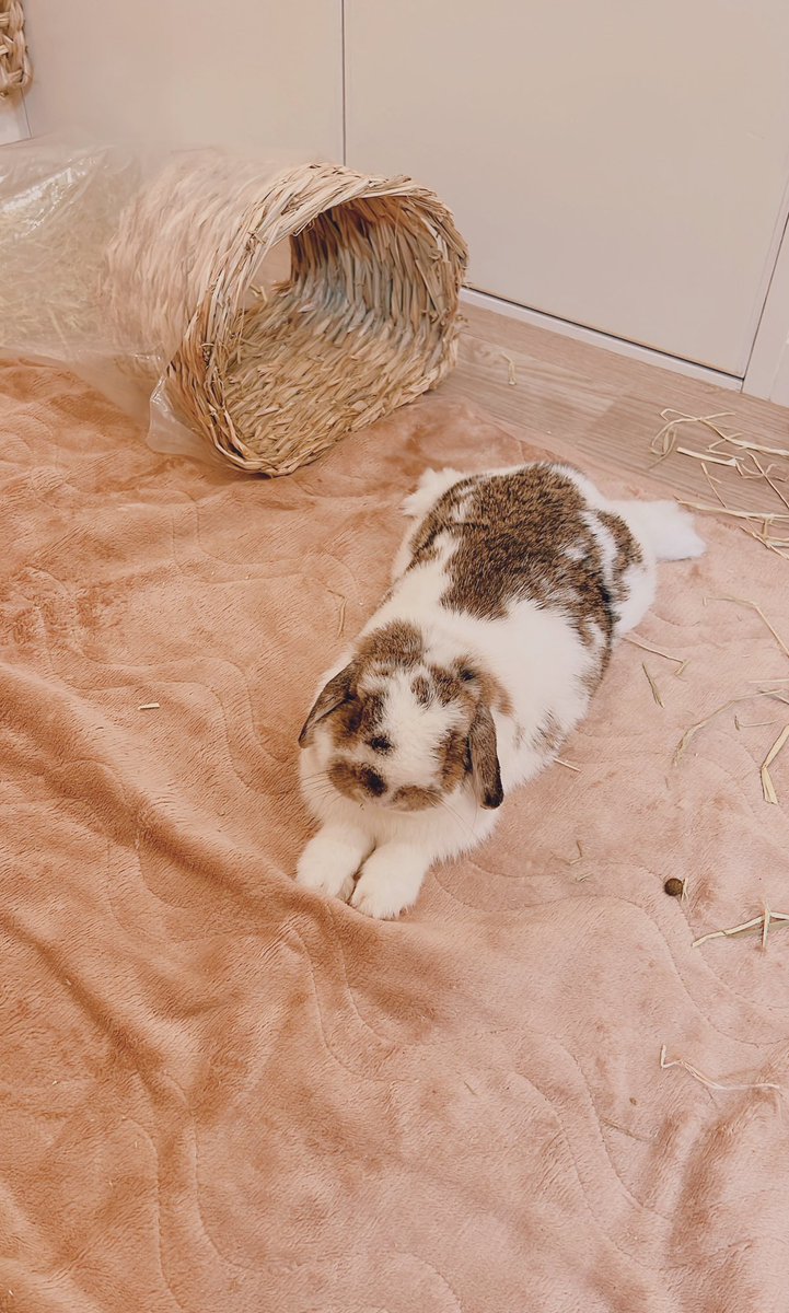 おつかれさまでした🌙*⭐︎