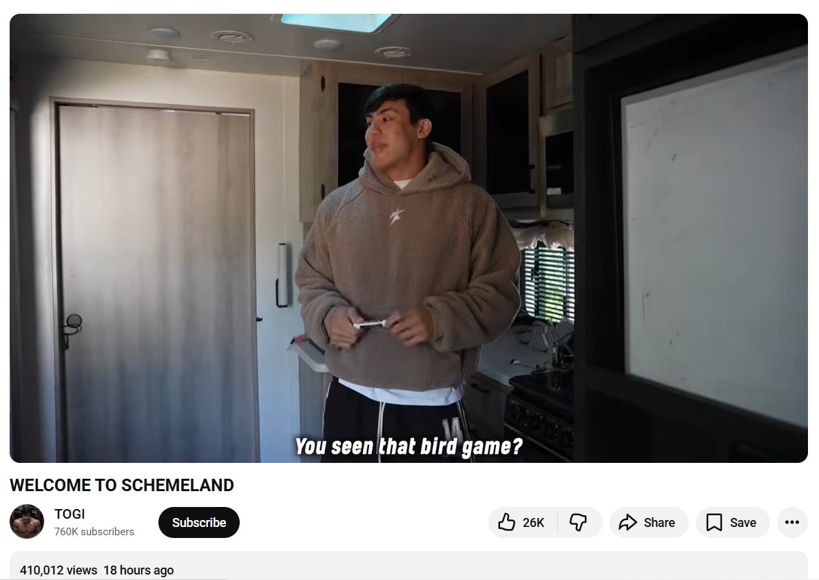 Bird Game Studios tweet media