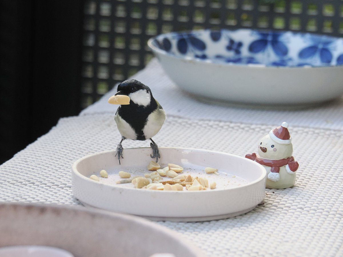 handmade chise＊バーダーハンドメイド作家 (@hankoa_chise) / Posts / X