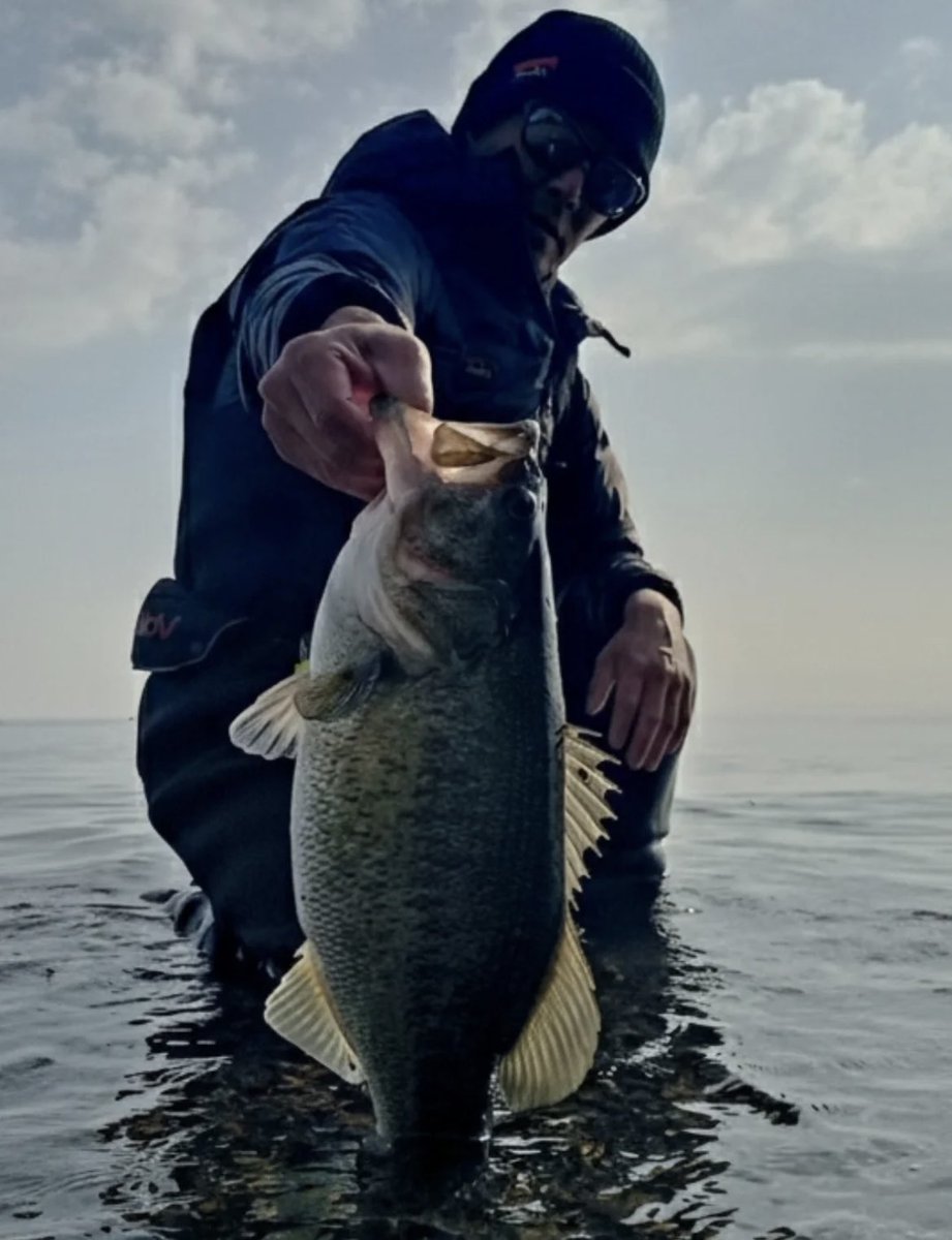 334in.com】ranging rod.QGJ0b